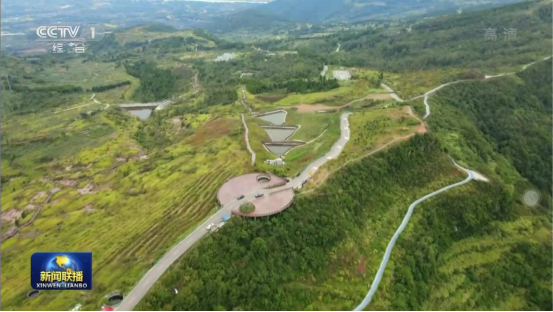 迎橄榄丰收 助乡村振兴 四川PT视讯聚峰谷油橄榄产业带动金堂公园城市绿色低碳发展