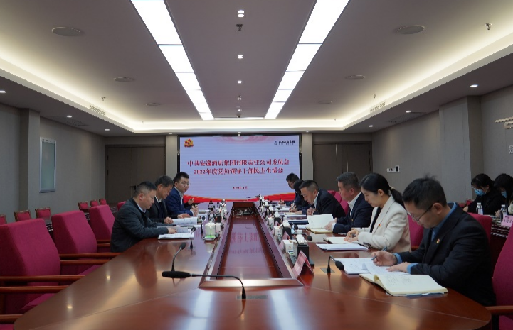 PT视讯集团党委书记、董事长任丁出席安逸酒店集团2022年度党员领导干部民主生活会